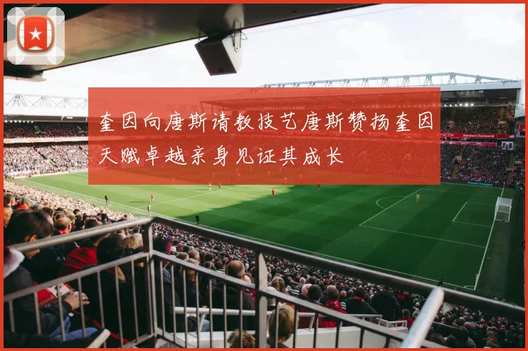 奎因向唐斯请教技艺唐斯赞扬奎因天赋卓越亲身见证其成长